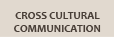 Cross Cultural Communication
